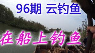 台钓视频教学,跟随视频轻松掌握钓鱼技巧