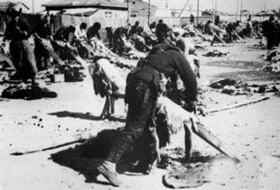 熟皮子的方法视频,从生皮到熟皮，皮具制作新手必看熟皮技巧